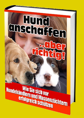 Cover Hund anschaffen aber richtig
