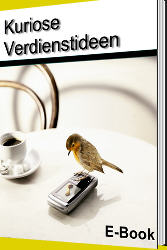 im eBook-Paket enthalten das eBook Kuriose Verdienstideen